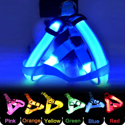 Adjustable Glowing LED Dog Harness & Leash Set