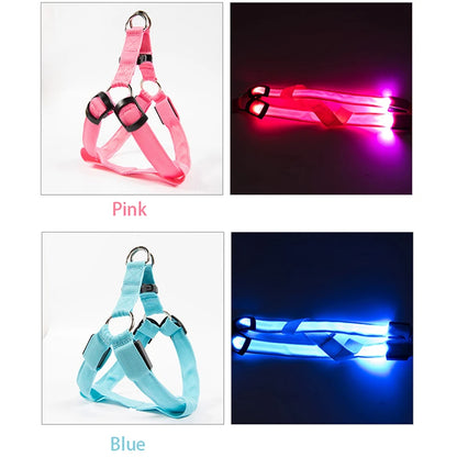 Adjustable Glowing LED Dog Harness & Leash Set