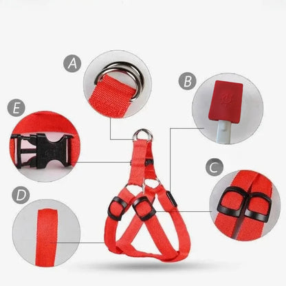 Adjustable Glowing LED Dog Harness & Leash Set