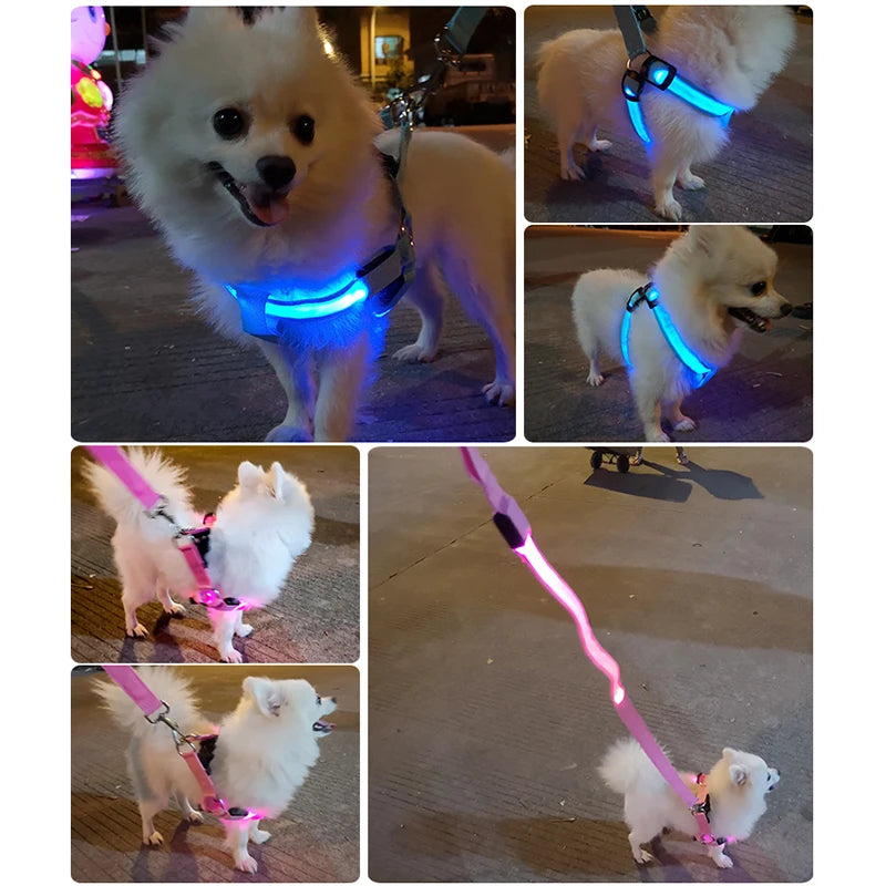 Adjustable Glowing LED Dog Harness & Leash Set