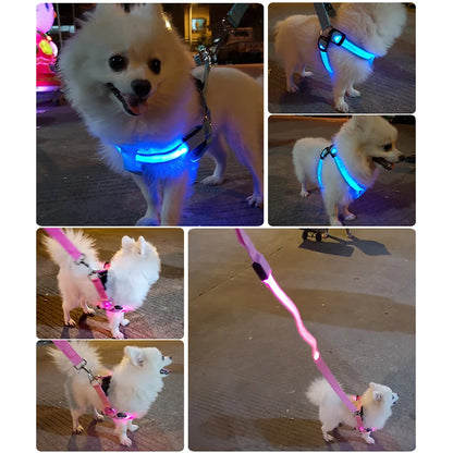 Adjustable Glowing LED Dog Harness & Leash Set
