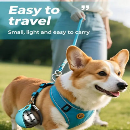 Ultra-Portable Spherical Pet Water Bottle – Leak-Proof 285 Ml Stainless Steel & Soft Silicone Foldable Dog  Travel Canteen
