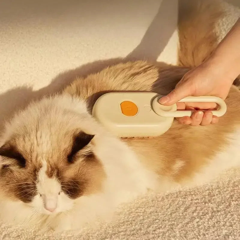 3 in 1 electric steamimg pet bath brush.Cat Brush Hair Remover Cat Steam Brush Electric.